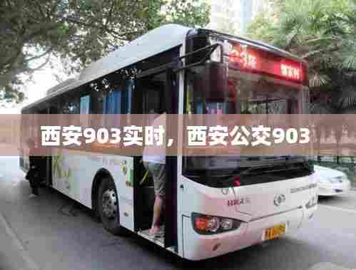 西安903实时，西安公交903 