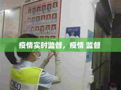 疫情实时监督，疫情 监督 
