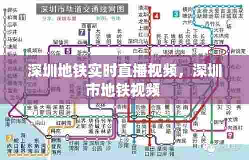 深圳地铁实时直播视频，深圳市地铁视频 