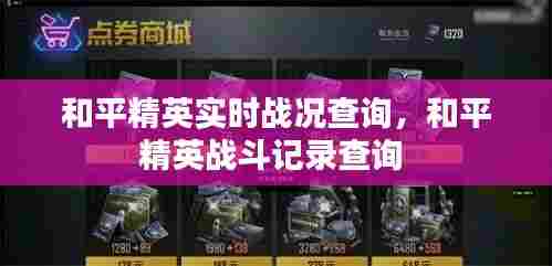 和平精英实时战况查询，和平精英战斗记录查询 