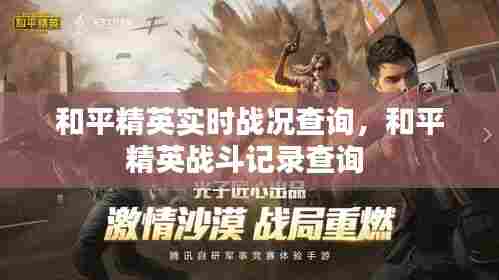 和平精英实时战况查询,和平精英战斗记录查询