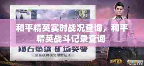 和平精英实时战况查询,和平精英战斗记录查询