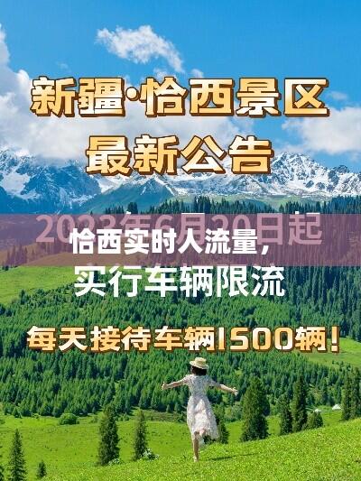 恰西实时人流量， 