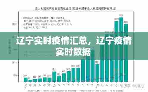 辽宁实时疫情汇总，辽宁疫情实时数据 