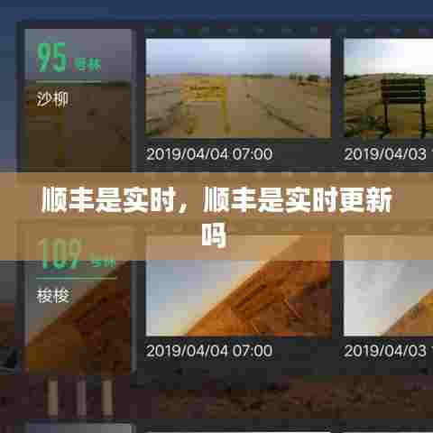 顺丰是实时,顺丰是实时更新吗