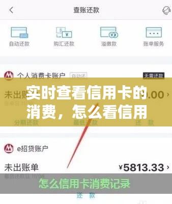 实时查看信用卡的消费，怎么看信用卡的消费记录 