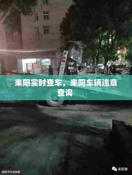 耒阳实时查车，耒阳车辆违章查询 