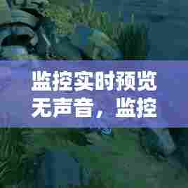 监控实时预览无声音，监控实时预览无声音怎么办 