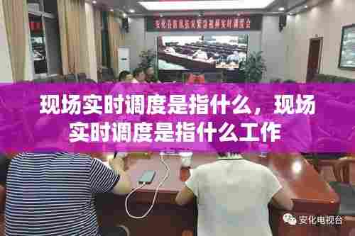 现场实时调度是指什么，现场实时调度是指什么工作 
