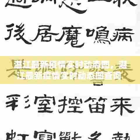 湛江最新疫情实时动态图，湛江最新疫情实时动态图查询 