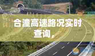 虫蚀鸟步 第8页