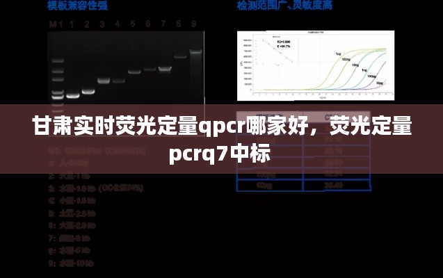 甘肃实时荧光定量qpcr哪家好，荧光定量pcrq7中标 