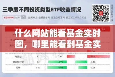 什么网站能看基金实时图，哪里能看到基金实时行情 