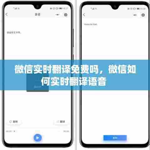 微信实时翻译免费吗，微信如何实时翻译语音 