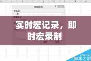 一花独放 第8页