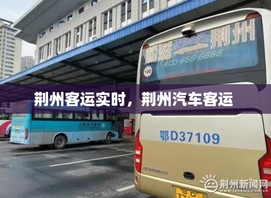 荆州客运实时，荆州汽车客运 