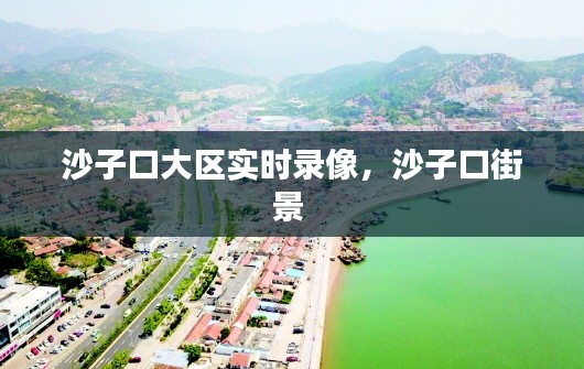 沙子口大区实时录像,沙子口街景