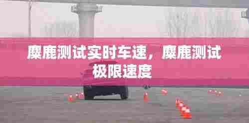 麋鹿测试实时车速，麋鹿测试极限速度 