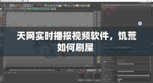 天网实时播报视频软件,饥荒如何刷屎