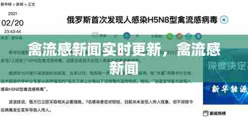 禽流感新闻实时更新，禽流感 新闻 