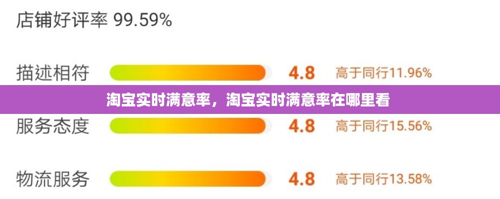 淘宝实时满意率，淘宝实时满意率在哪里看 