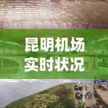 草长莺飞 第7页