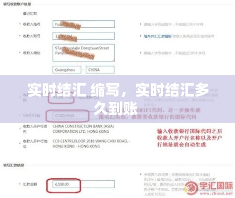 实时结汇 缩写,实时结汇多久到账