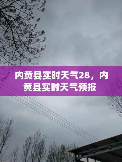 内黄县实时天气28，内黄县实时天气预报 