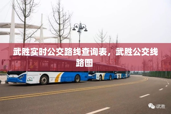 武胜实时公交路线查询表，武胜公交线路图 