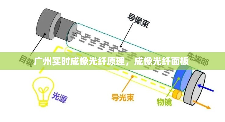 广州实时成像光纤原理，成像光纤面板 