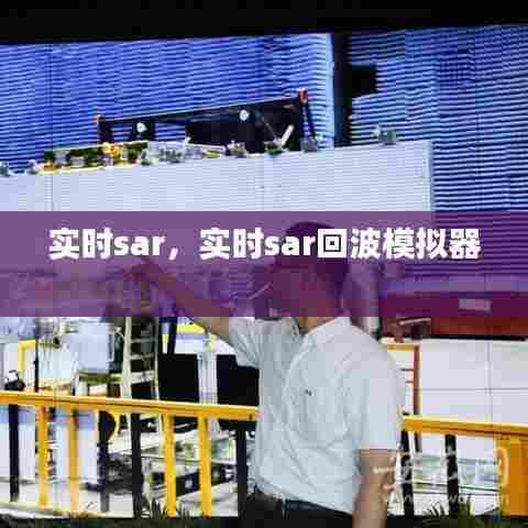 实时sar，实时sar回波模拟器 