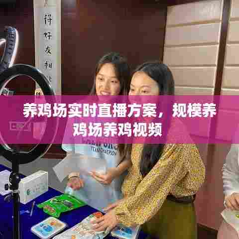 养鸡场实时直播方案,规模养鸡场养鸡视频