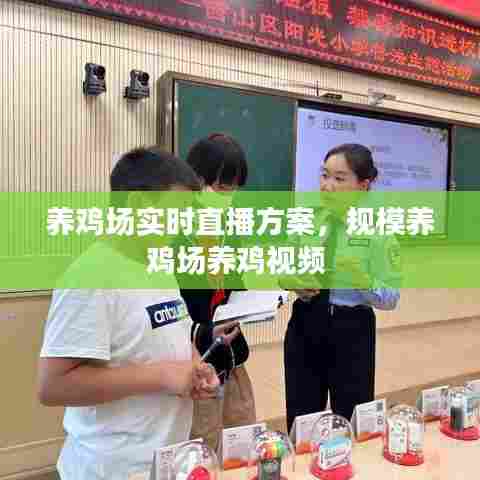 养鸡场实时直播方案,规模养鸡场养鸡视频