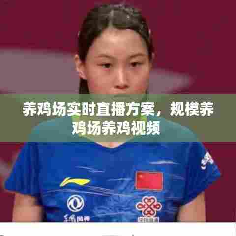 养鸡场实时直播方案,规模养鸡场养鸡视频