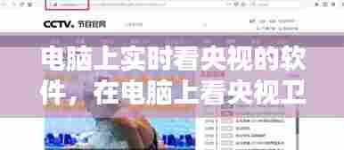 电脑上实时看央视的软件，在电脑上看央视卫视直播的软件 