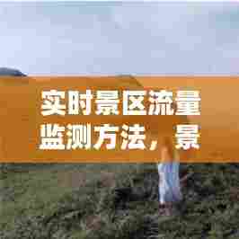 实时景区流量监测方法，景区实时流量查询 