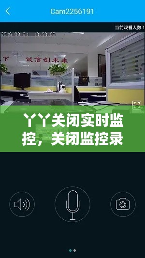 丫丫关闭实时监控，关闭监控录像 