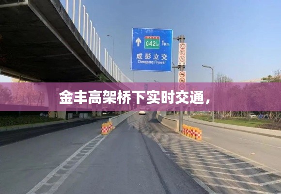 金丰高架桥下实时交通， 