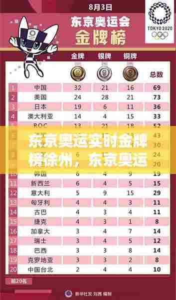 东京奥运实时金牌榜徐州，东京奥运奘排榜 