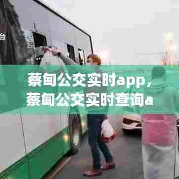 蔡甸公交实时app，蔡甸公交实时查询app 
