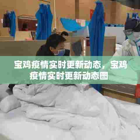 宝鸡疫情实时更新动态,宝鸡疫情实时更新动态图