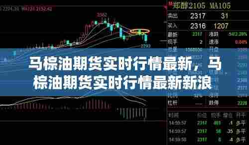 马棕油期货实时行情最新，马棕油期货实时行情最新新浪 