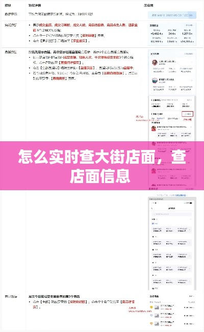 怎么实时查大街店面，查店面信息 