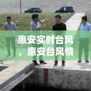 惠安实时台风,惠安台风情况