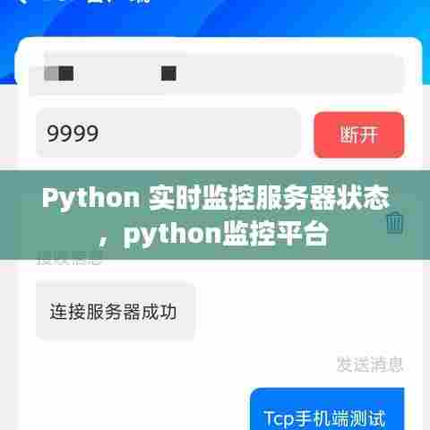 Python 实时监控服务器状态，python监控平台 