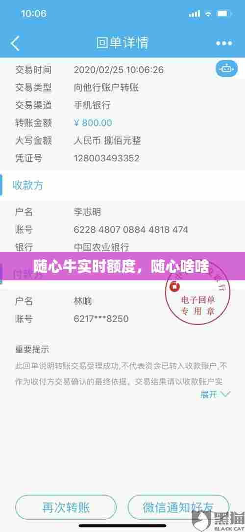 随心牛实时额度，随心啥啥 