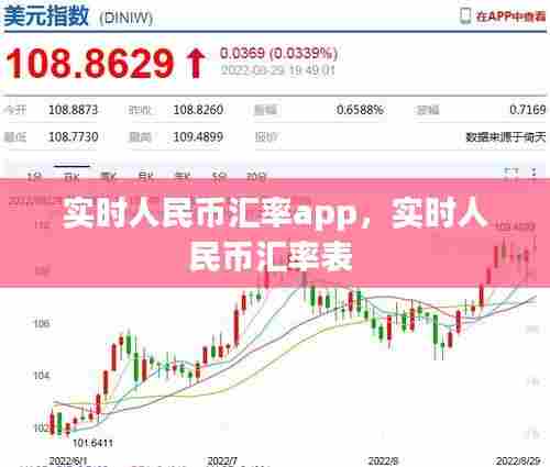 实时人民币汇率app，实时人民币汇率表 