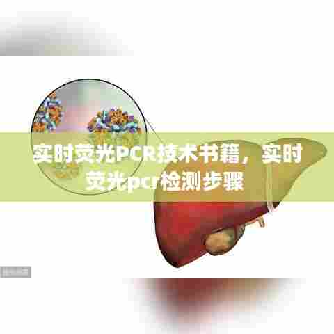实时荧光PCR技术书籍，实时荧光pcr检测步骤 