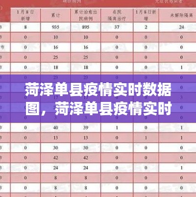 菏泽单县疫情实时数据图，菏泽单县疫情实时数据图表 