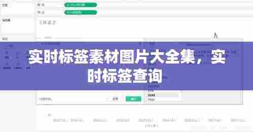 实时标签素材图片大全集，实时标签查询 